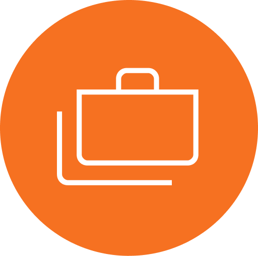 Business Analyst